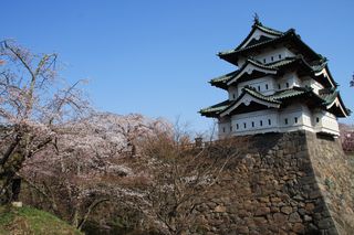 IMG_6172